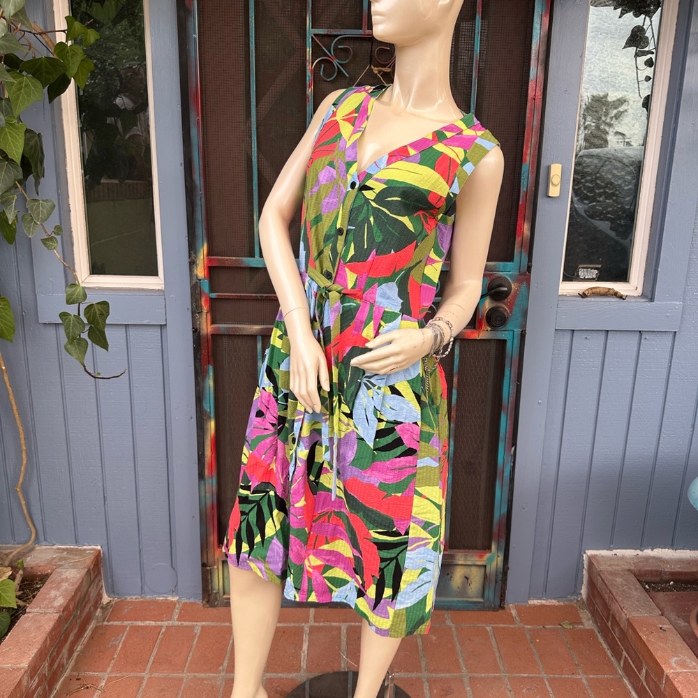 Liz Alig June Sleeveless Dress